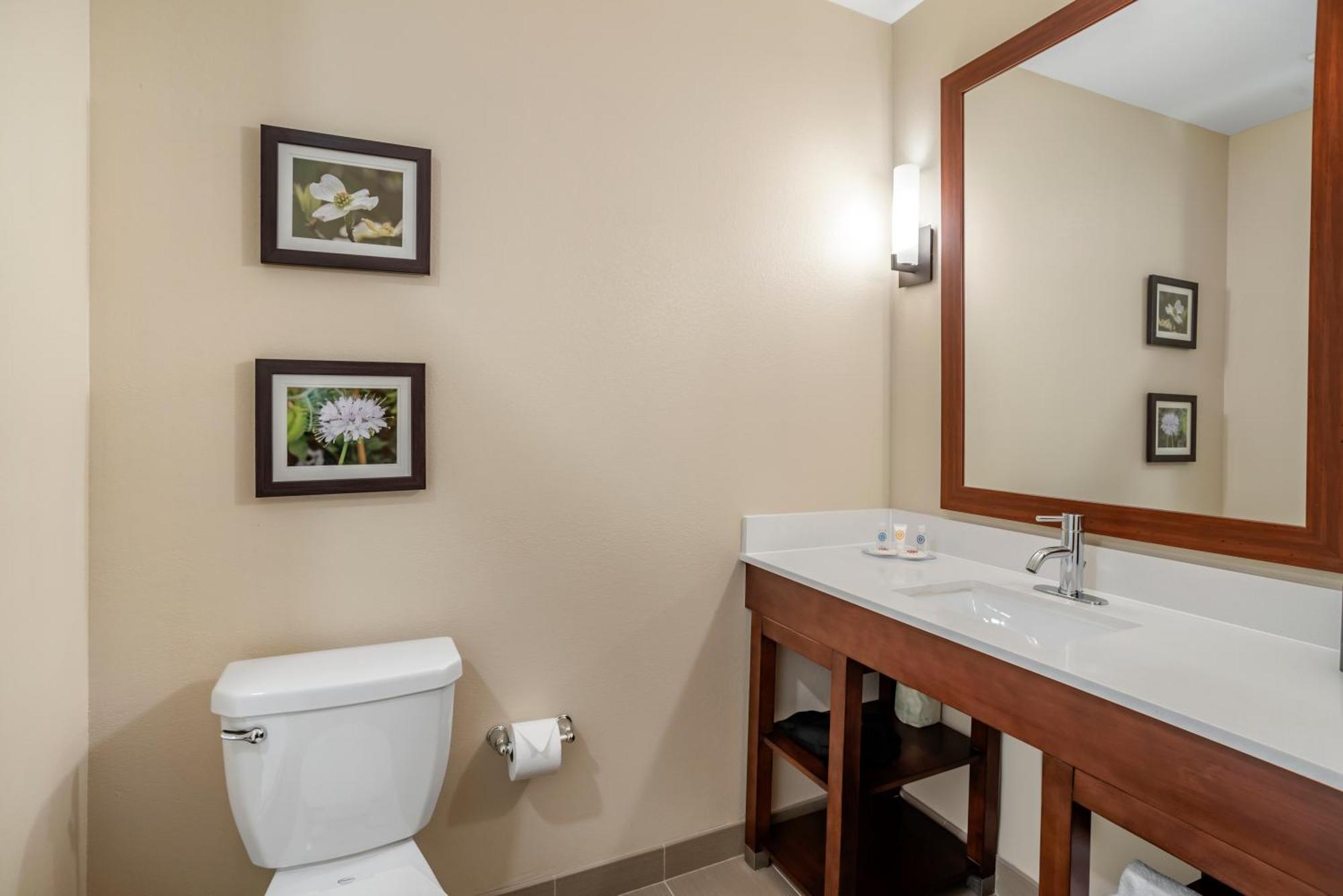 Comfort Inn & Suites ウィンチェスター 部屋 写真