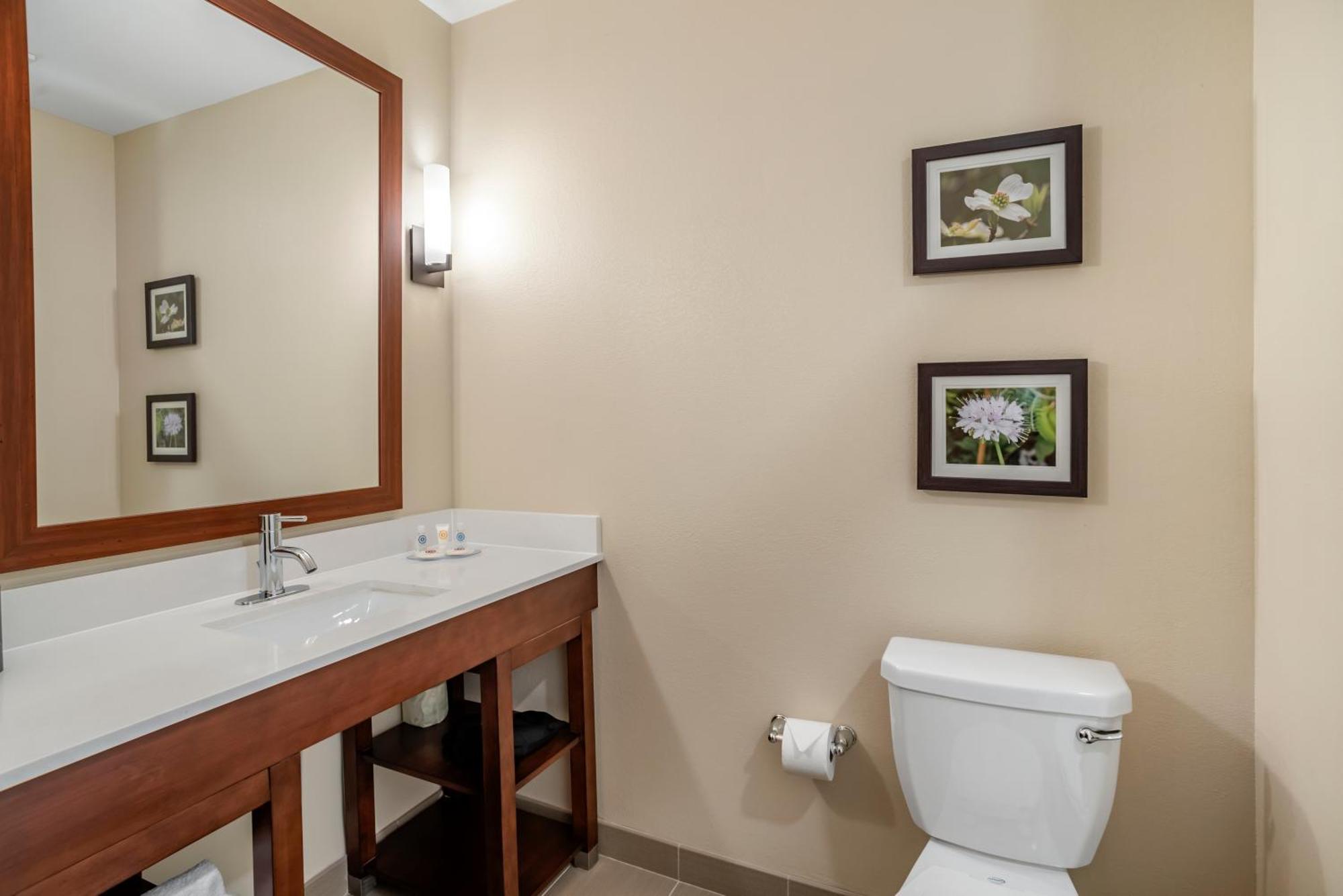 Comfort Inn & Suites ウィンチェスター 部屋 写真